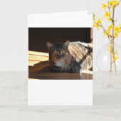 Langsame Tage, Karte (Gelbe Blume)