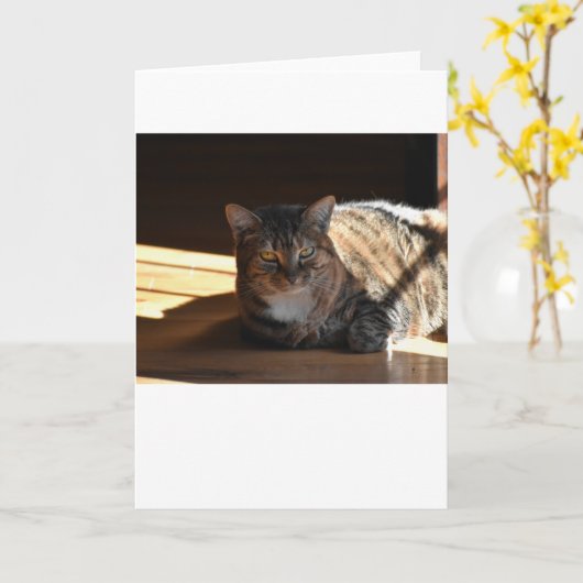 Langsame Tage, Karte (Gelbe Blume)