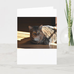 Langsame Tage, Karte