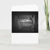 Langsame Tage, Karte (Vorderseite)