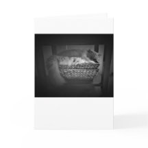 Langsame Tage, Karte