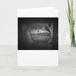 Langsame Tage, Karte