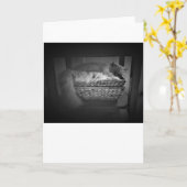 Langsame Tage, Karte (Gelbe Blume)