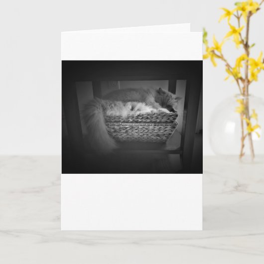 Langsame Tage, Karte (Gelbe Blume)