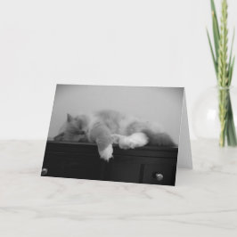 Langsame Tage, Karte