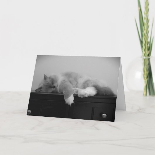 Langsame Tage, Karte (Vorderseite)