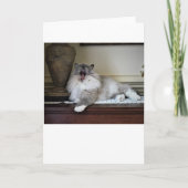 Langsame Tage, Karte (Vorderseite)