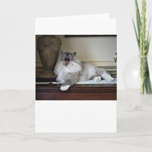 Langsame Tage, Karte (Vorderseite)