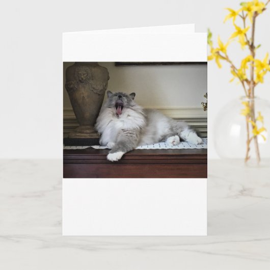 Langsame Tage, Karte (Gelbe Blume)