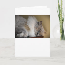 Langsame Tage, Karte