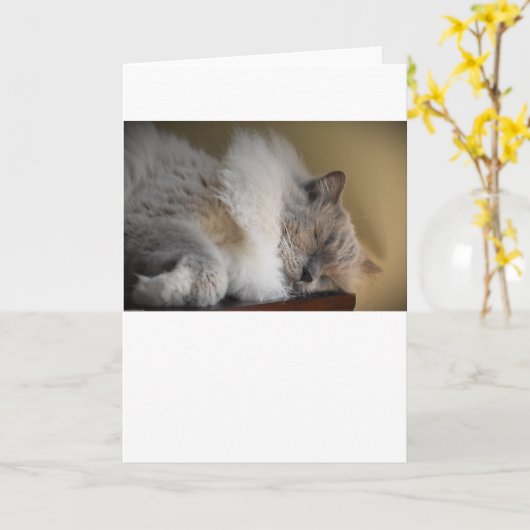 Langsame Tage, Karte (Gelbe Blume)