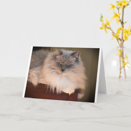 Langsame Tage, Karte (Gelbe Blume)