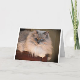 Langsame Tage, Karte