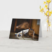 Langsame Tage, Karte (Gelbe Blume)