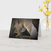 Langsame Tage, Karte (Gelbe Blume)