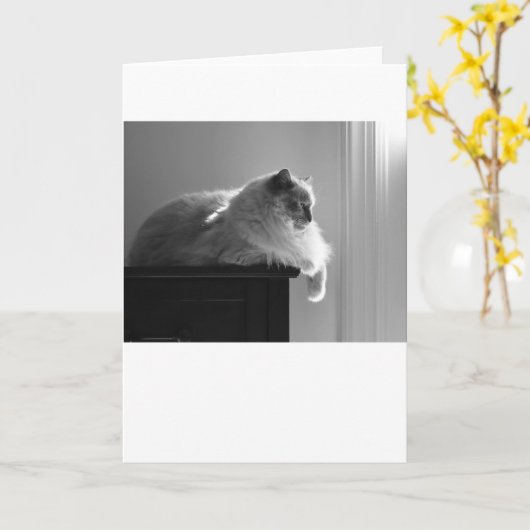 Langsame Tage, Karte (Gelbe Blume)