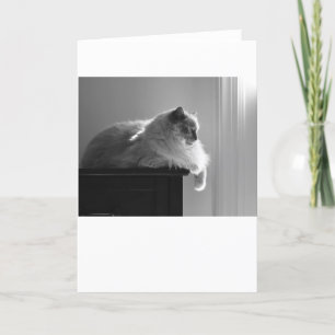 Langsame Tage, Karte