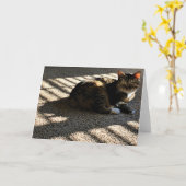 Langsame Tage, Karte (Gelbe Blume)