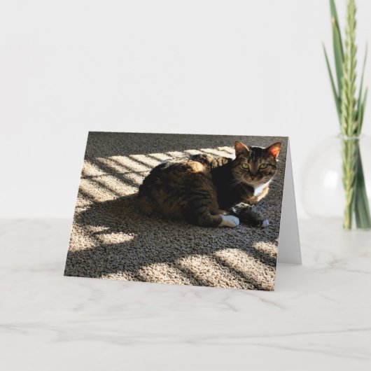 Langsame Tage, Karte (Vorderseite)