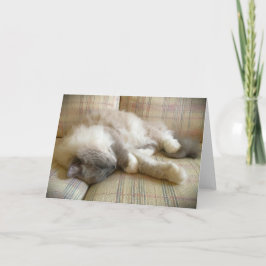 Langsame Tage, Karte