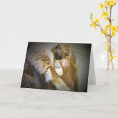 Langsame Tage, Karte (Gelbe Blume)