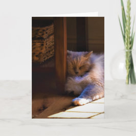 Langsame Tage, Karte