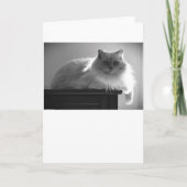 Langsame Tage, Karte (Vorderseite)