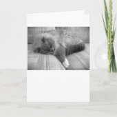 Langsame Tage, Karte (Vorderseite)