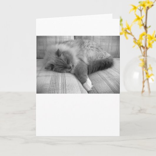 Langsame Tage, Karte (Gelbe Blume)