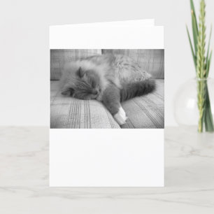 Langsame Tage, Karte