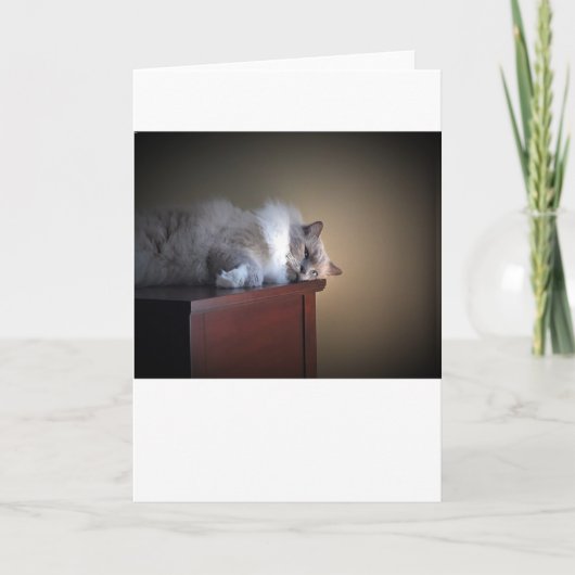 Langsame Tage, Karte (Vorderseite)