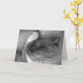 Langsame Tage, Karte (Gelbe Blume)