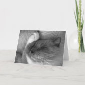 Langsame Tage, Karte (Vorderseite)