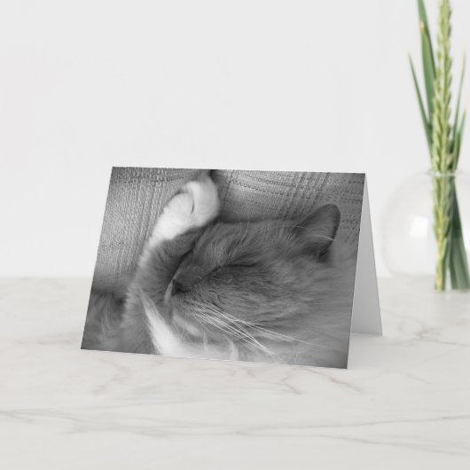 Langsame Tage, Karte (Vorderseite)