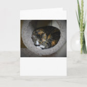 Langsame Tage, Karte (Vorderseite)