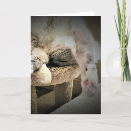 Langsame Tage, Karte (Vorderseite)