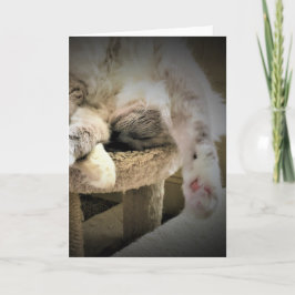 Langsame Tage, Karte