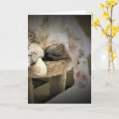 Langsame Tage, Karte (Gelbe Blume)