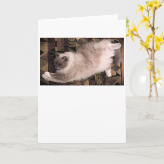 Langsame Tage, Karte (Gelbe Blume)