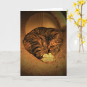 Langsame Tage, Karte (Gelbe Blume)