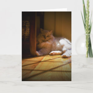 Langsame Tage, Karte