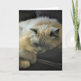 Langsame Tage, Karte