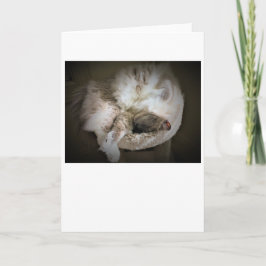 Langsame Tage, Karte