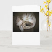 Langsame Tage, Karte (Gelbe Blume)