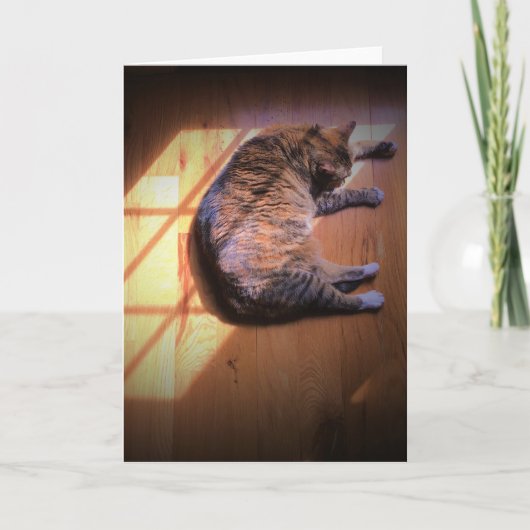 Langsame Tage, Karte (Vorderseite)