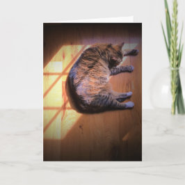 Langsame Tage, Karte