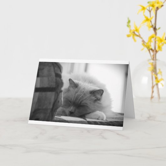 Langsame Tage, Karte (Gelbe Blume)