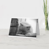 Langsame Tage, Karte (Vorderseite)