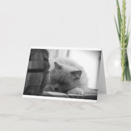 Langsame Tage, Karte