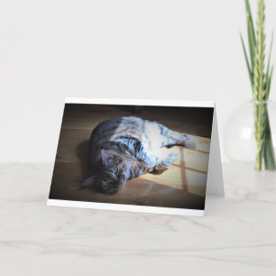 Langsame Tage, Karte